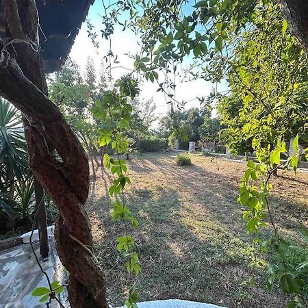 Yourlittlemiracle-Panoramicview+Firepit+Garden+Bbq Argalasti Exterior foto