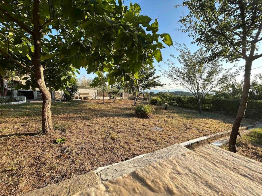 Yourlittlemiracle-Panoramicview+Firepit+Garden+Bbq Argalasti Exterior foto